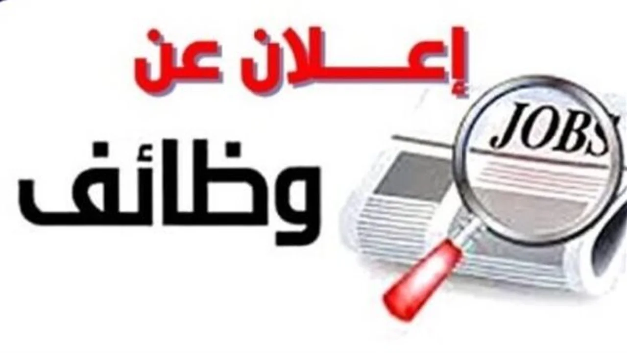 مستقبل واعد.. ميناء دمياط يوفر وظائف فنية بمرتبات مغرية